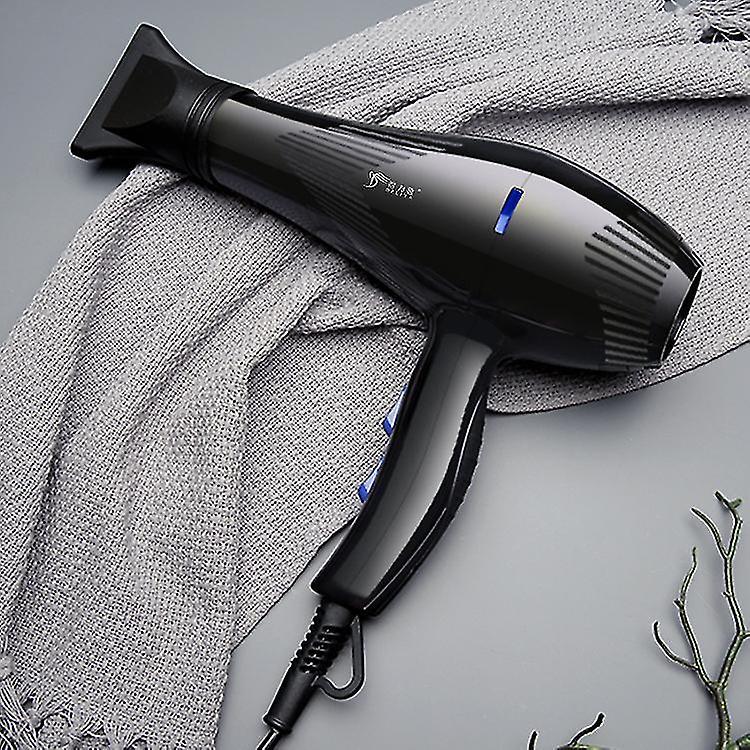 Professional Salon Hair Dryer Market