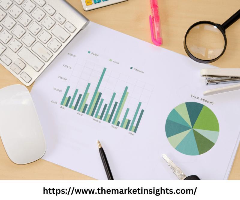 Solid Polymer Type Solid Ion Conductor Material Market