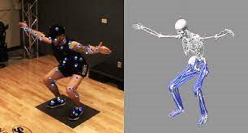 Markerless Motion Capture Software