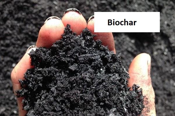 Biochar