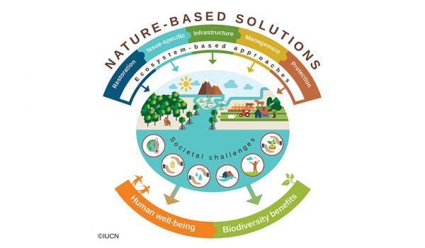 Ecosystem Solutions