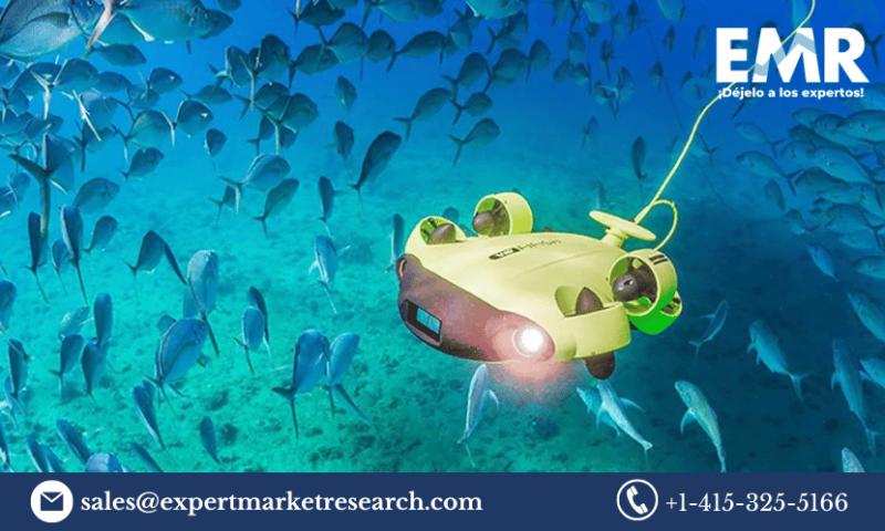 Underwater Fishing Cameras Market Size, Share, Forecast 2032