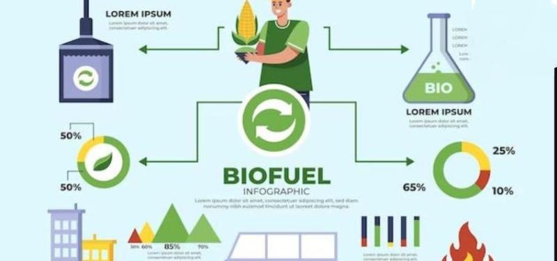 Renewable Ethanol