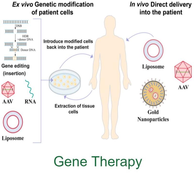 Gene Therapy Market 2023 Industry Overview, Demographic Data, Future Growth and Business Strategies for GlaxoSmithKline plc, Bluebird Bio, Inc., Adaptimmune Therapeutics plc