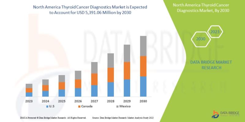 north-america-thyroid-cancer-diagnostics-market, north-america-thyroid-cancer-diagnostics-market-scope, north-america-thyroid-canc