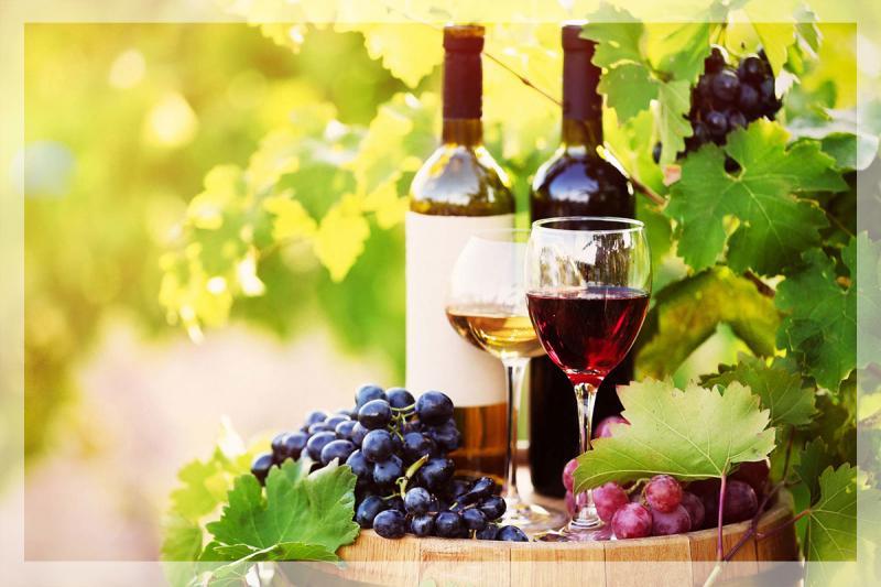 Europe Organic Wine