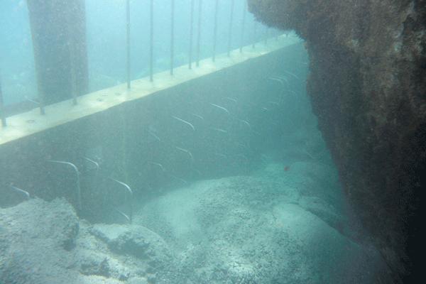 Underwater Concrete