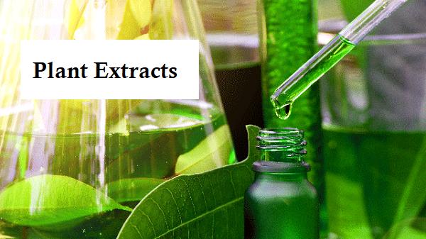 Plant Extracts