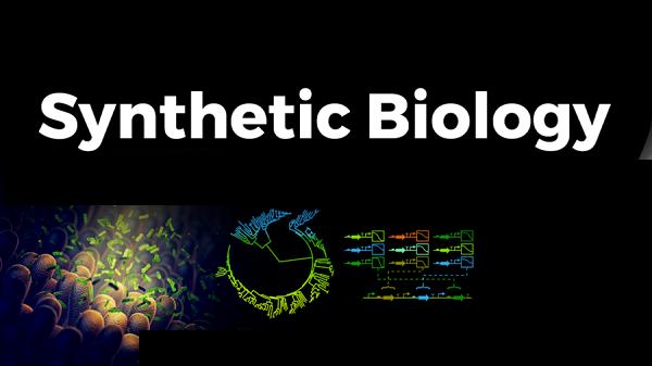 Synthetic Biology Market to See Incredible Growth during 2023 - 2028 | Novozymes A/S, Codexis, Amyris