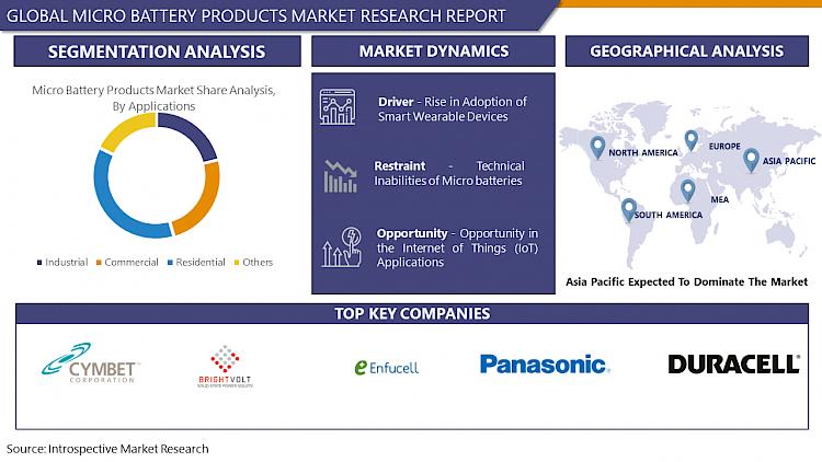 Global Micro Battery Products Market - Competitive Landscape;