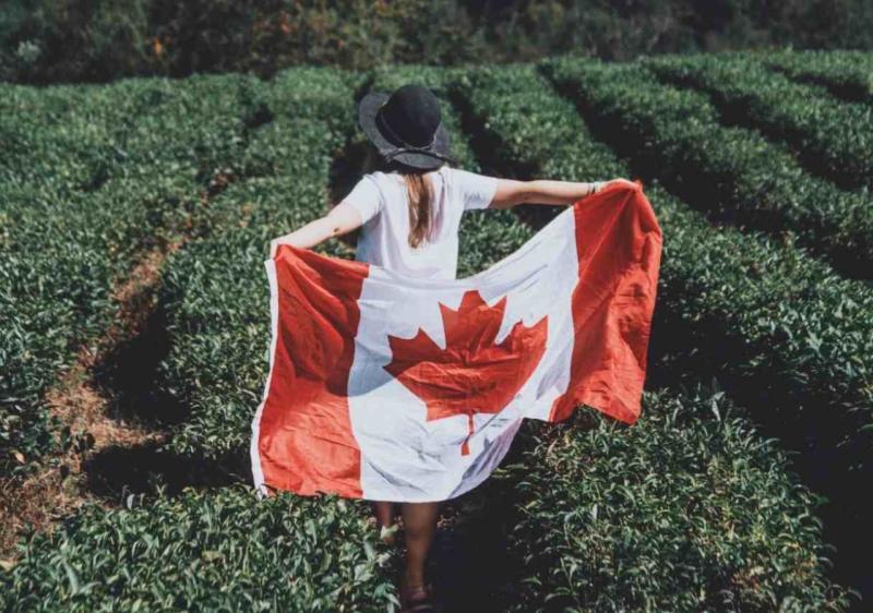 Unlock Your Canadian Dreams with ImmigCanada - The Best