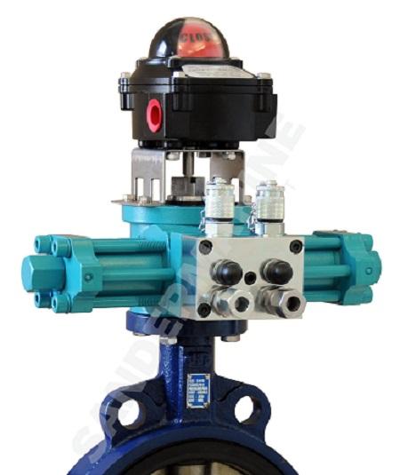 Marine Actuators and Valves Market