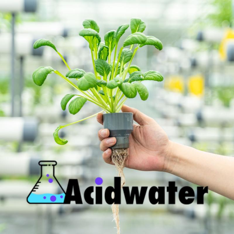 Revolutionizing Indoor Cultivation: Acidwater Introduces AI-Powered Grow Blocks for Enhanced Plant Growth