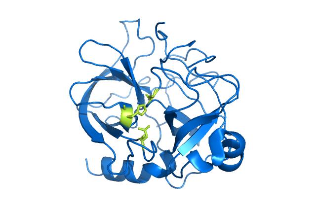 Protease Manufacturing Plant Project Report