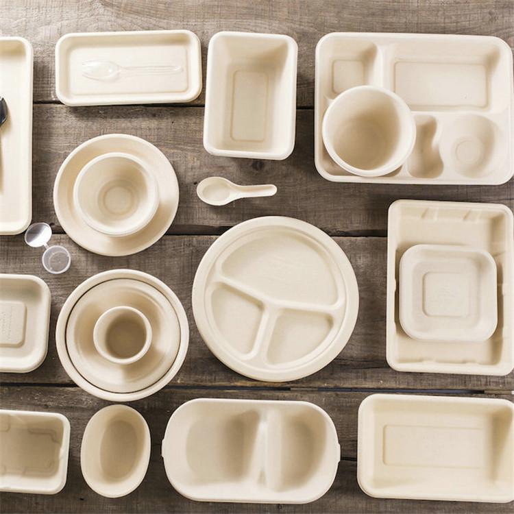 Bagasse Tableware Products Market, Bagasse Tableware Products