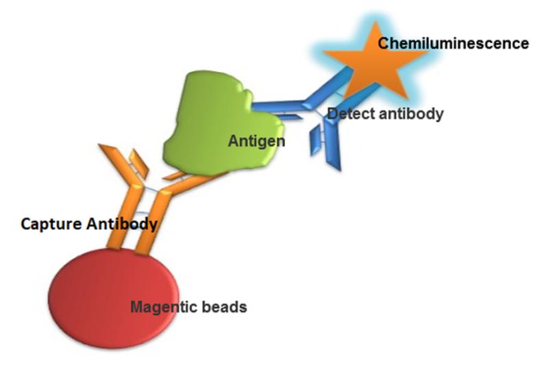 Chemiluminescence Immunoassay (CLIA) Market