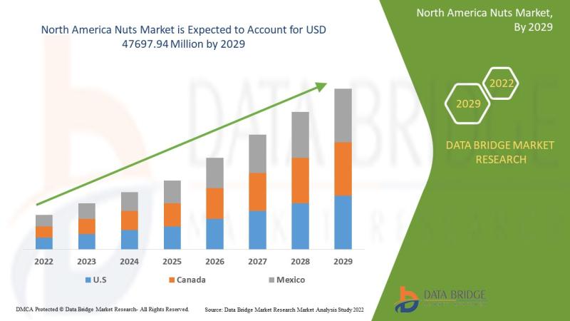 North America Nuts Market Outlook Industry Share, Growth, Drivers, Emerging Technologies, and Forecast Research Report 2029