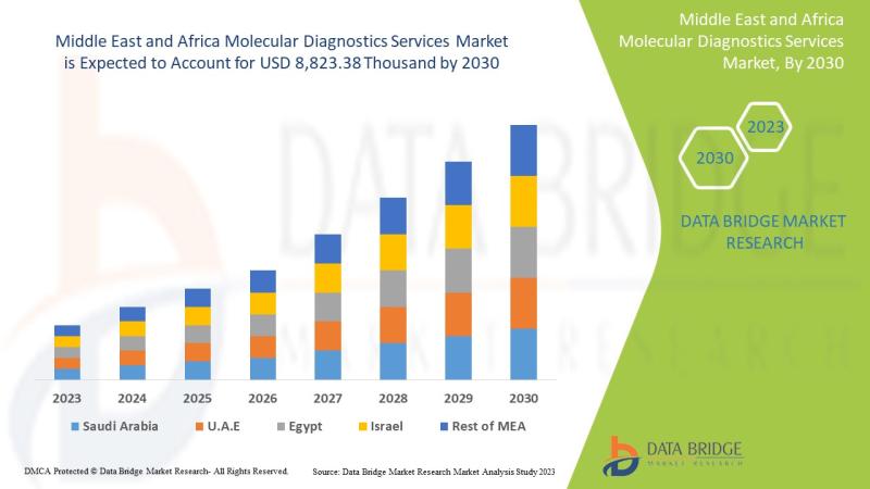 middle-east-and-africa-molecular-diagnostics-services-market, middle-east-and-africa-molecular-diagnostics-services-market-scope,