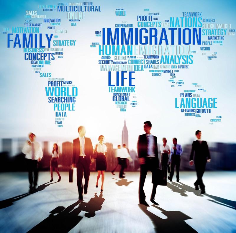 Immigration Legal Services Market
