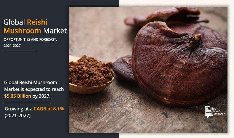 Reishi Mushroom Market by Product, Size, Growth, Analysis