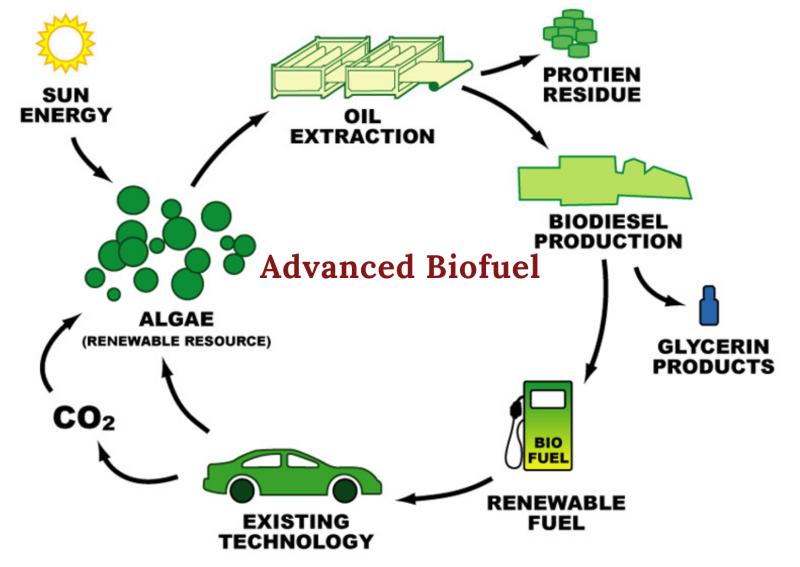 Advanced Biofuel Market Analysis