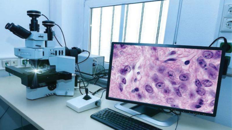 Digital Pathology Market