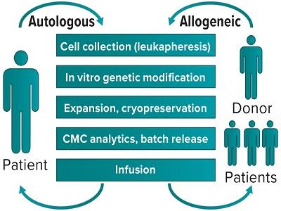 Autologous Cell Therapy Market to Set a High Potential Growth