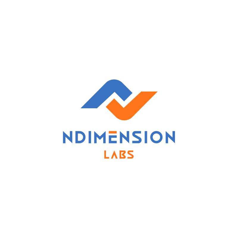 Unlocking Online Success: Ndimension Labs and the Power