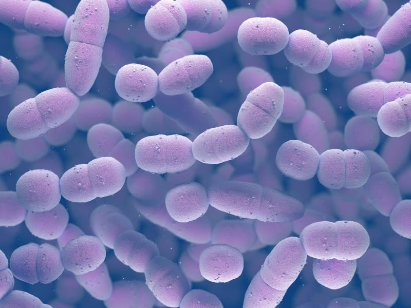 Antimicrobial Material Market