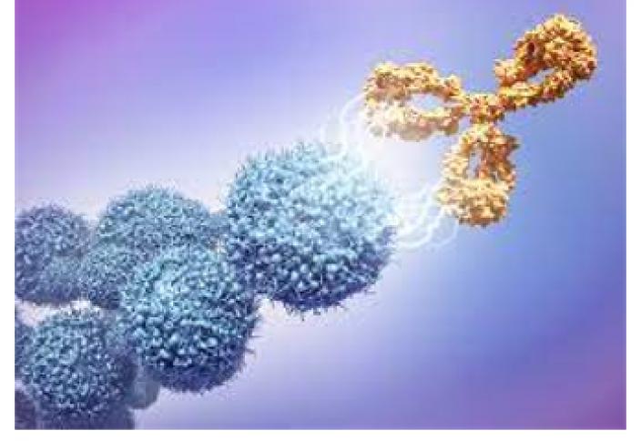 Antibody Therapy Market