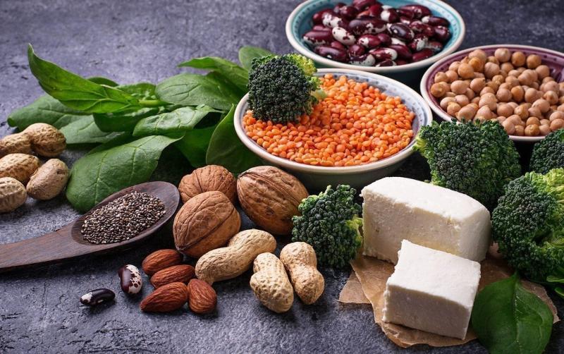 Plant-based protein-An alternative approach to food - Spire Research and  Consulting