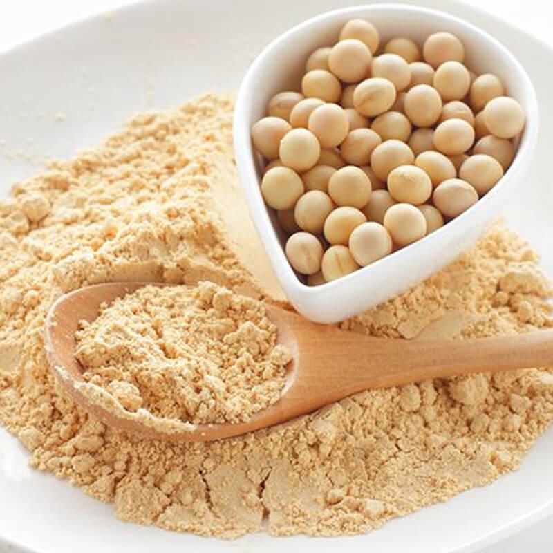 Soybean Protein Powder Market - Xcellent Insights