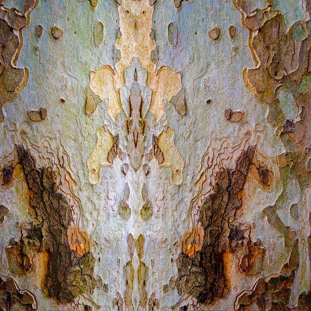 International Contemporary Artist Françoise Issaly to Exhibit Multiple Works in Canada and China