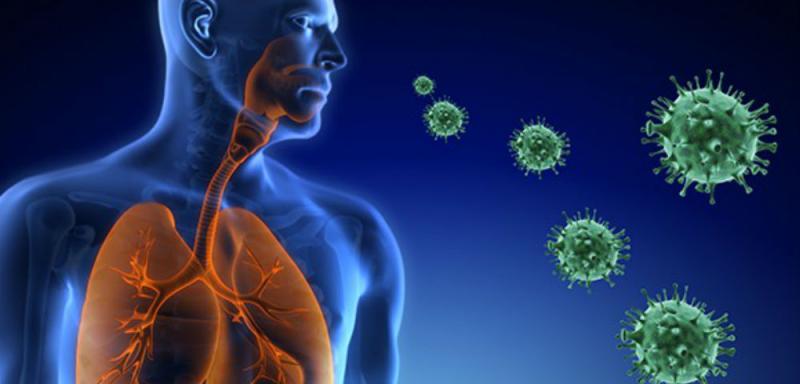 Respiratory Virus Vaccines