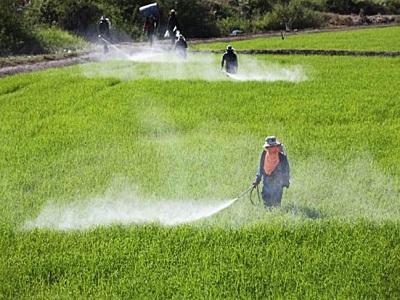 The Global Demand for Crop Protection Chemicals Industry New