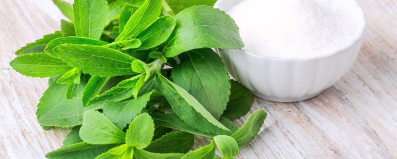 Stevia Market