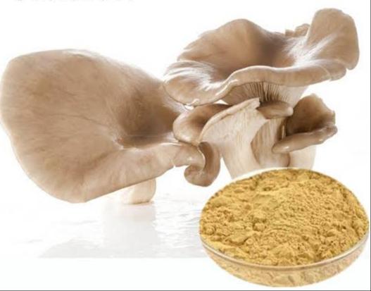 Dried Mushroom Powder Market