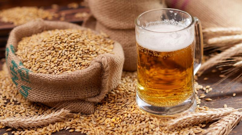 Near-beer Market 2023 Size, Status and Industry Outlook