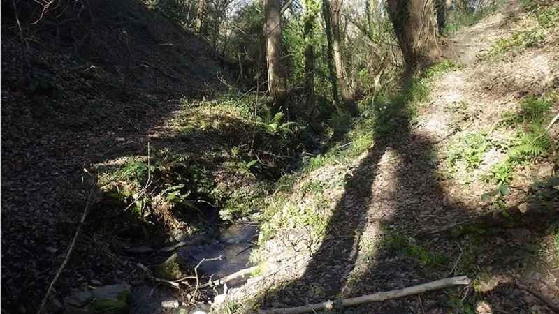 Zoopla (Zoopla.com) - An Amazing Waterside Plot of Land beside a Tiny Little Stream at Colwyn Bay (Near The Welsh Mountain Zoo).