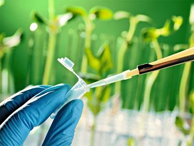 Agricultural Biotechnology Market | Size, Merger, Growth,