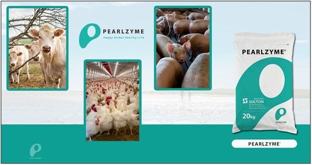 Proteolytic Enzyme Feed for Your Livestock | Pearlzyme Inc.