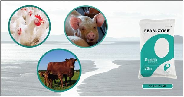 Manufacturer of Proteolytic Enzyme Livestock Feed | Pearlzyme Inc.