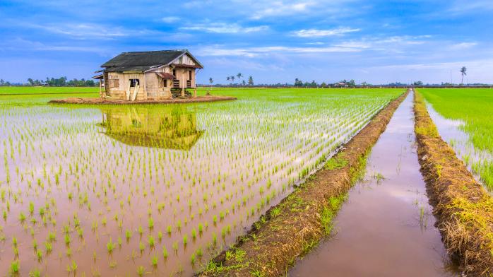Agricultural Insurance Market:Global Opportunity Analysis