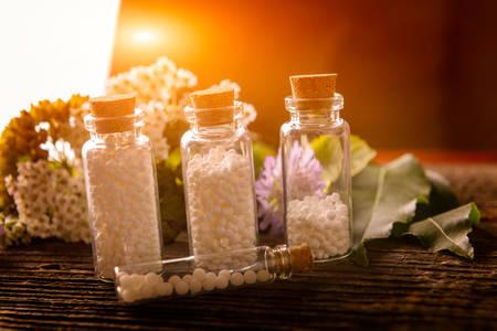 Setting up a Successful Sugar Globules Manufacturing Plant: