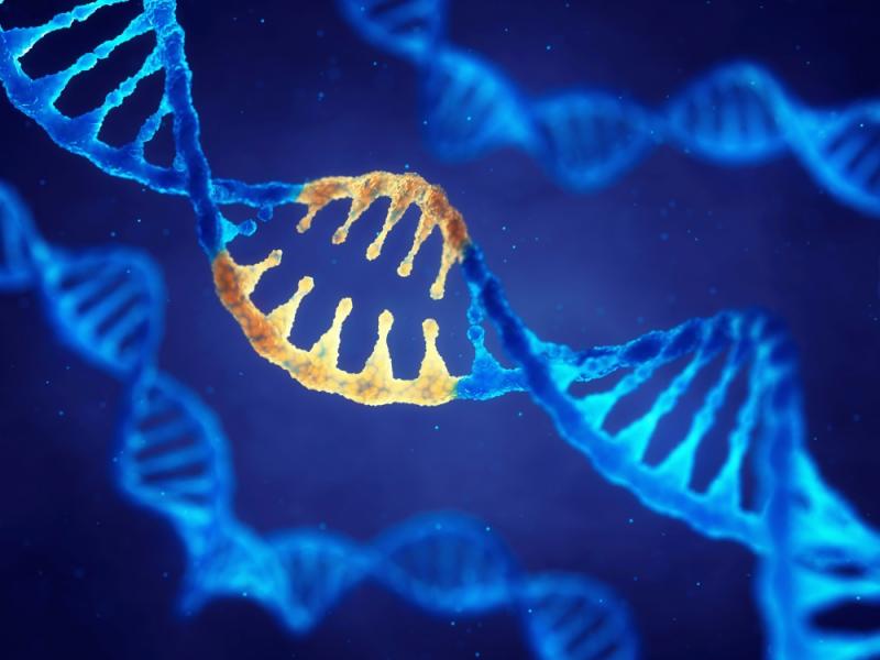 Viral Vector & Plasmid DNA Manufacturing