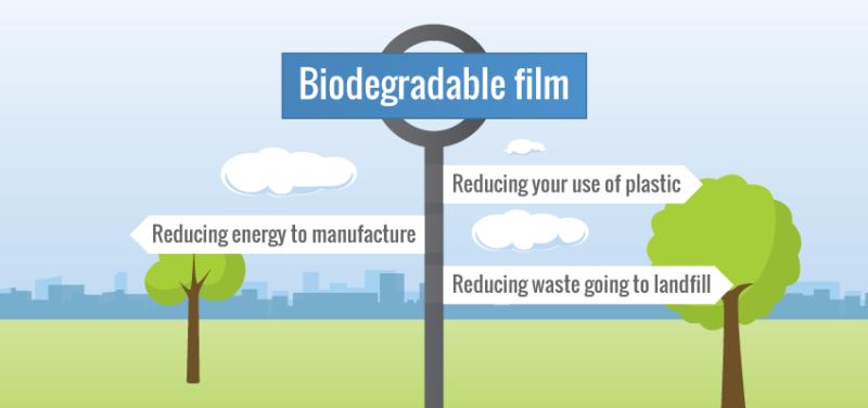 Biodegradable Film Market Demand, leading global Companies and Regional Average Pricing Analysis by 2032