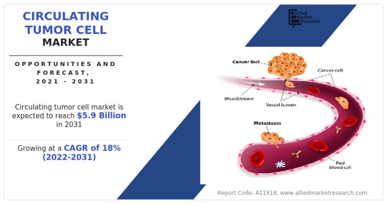 Circulating Tumor Cell Market is Predicted to Grow at a CAGR