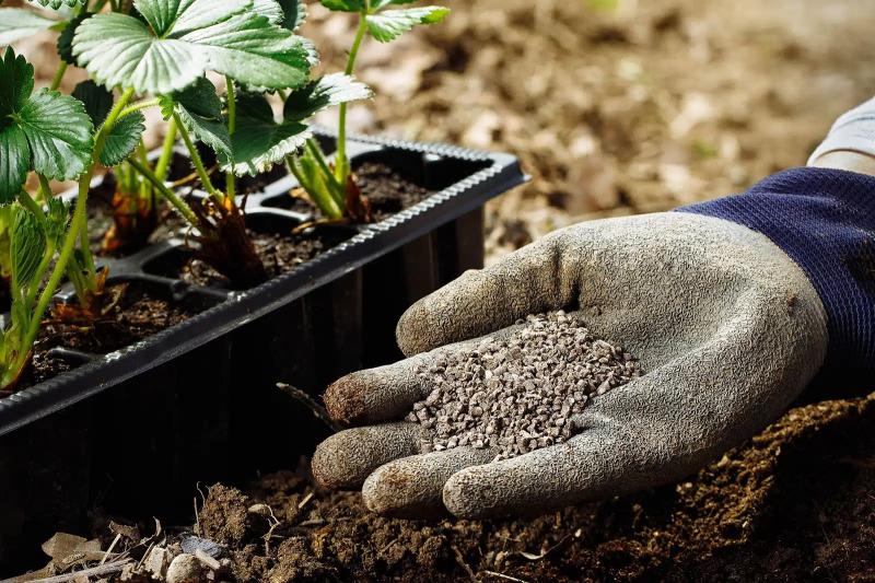 NPK Fertilizer Market to see Ongoing Evolution | Yara,EuroChem, Nutrien