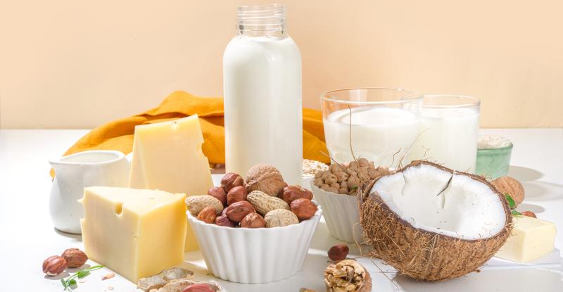 Dairy Alternatives Market 2023 to 2032 Data Analysis by Top