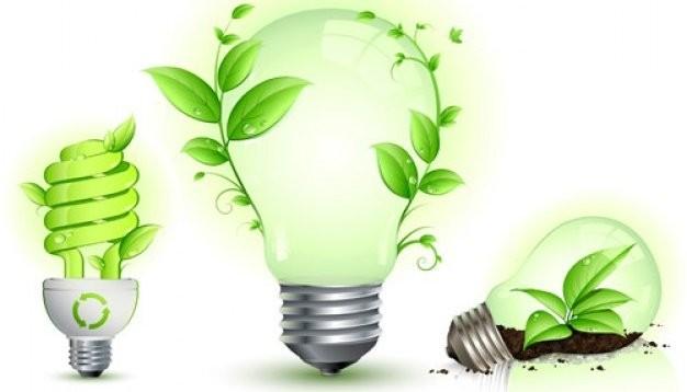 Eco-friendly LED Bulbs Market Dynamics and Growth Progress